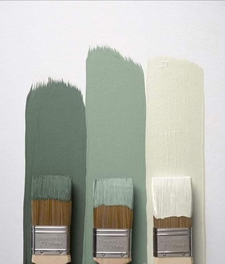 decorative paint